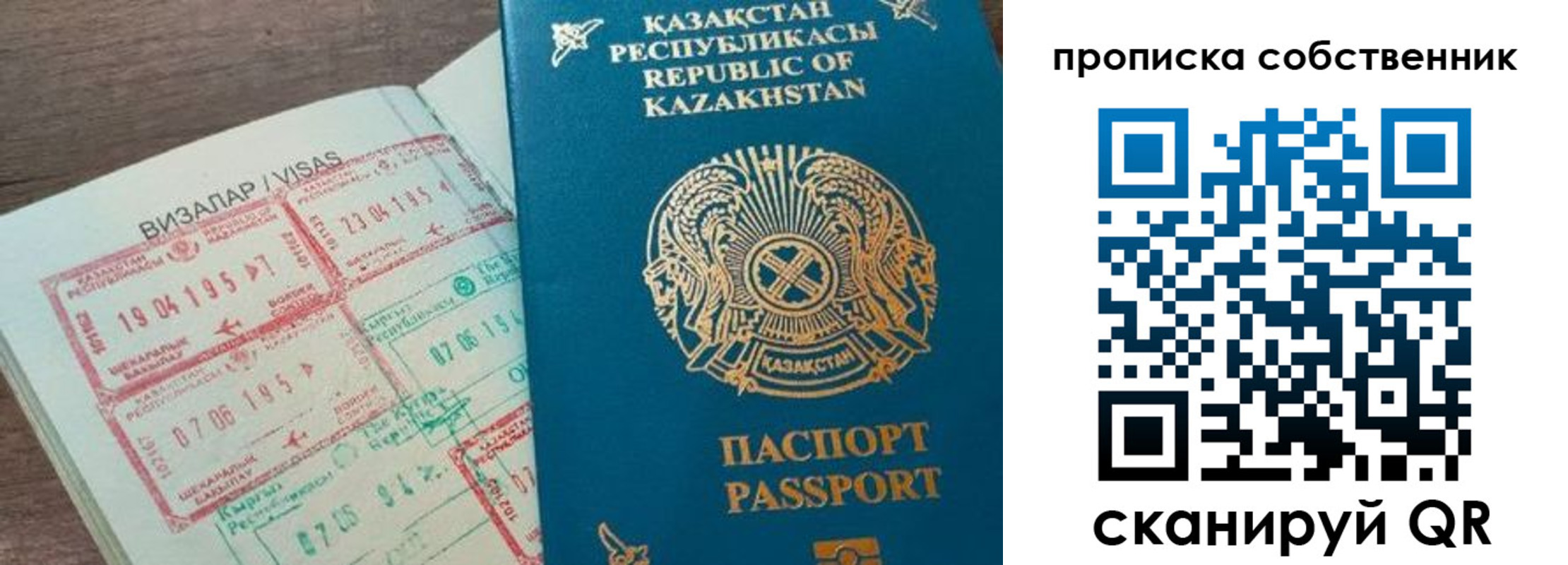 прописка гарантия в Ясном